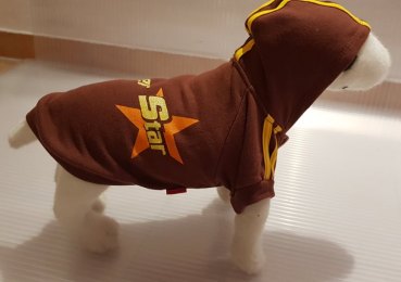 Hundeshirt Super Star