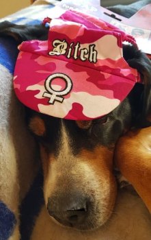 Hundemütze Pink Camouflage Bitch