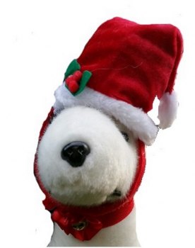 Weihnachtsmütze für Hunde mit Halsband