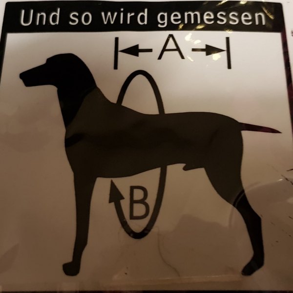 OP Body für Hunde